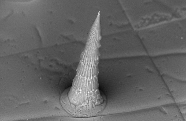 Microneedle Array