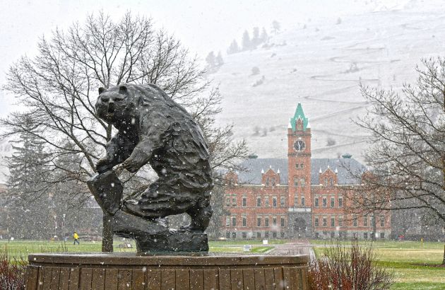 Griz statue on campus in light snow