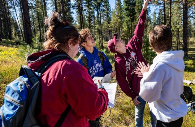 Four students work on a group project in the forest. One takes notes, one points up, two other students look up.