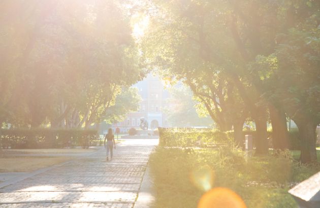 A student walks up Ryman Mall toward the Oval as light streams through the trees on the UM campus.
