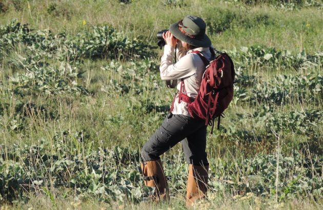 Student looking at birds