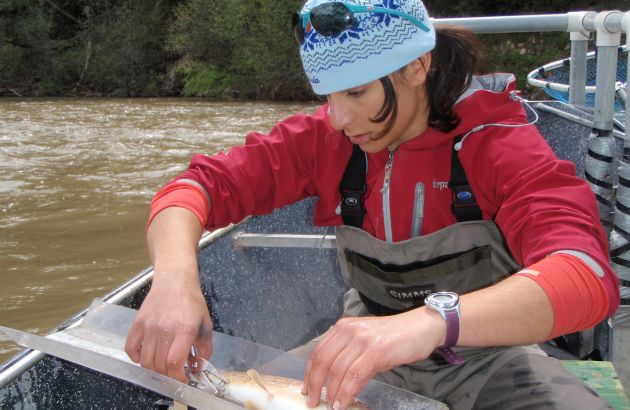 Student on a boat in the river working with a fish