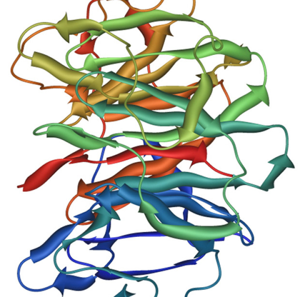 Molecular Developmental Biology