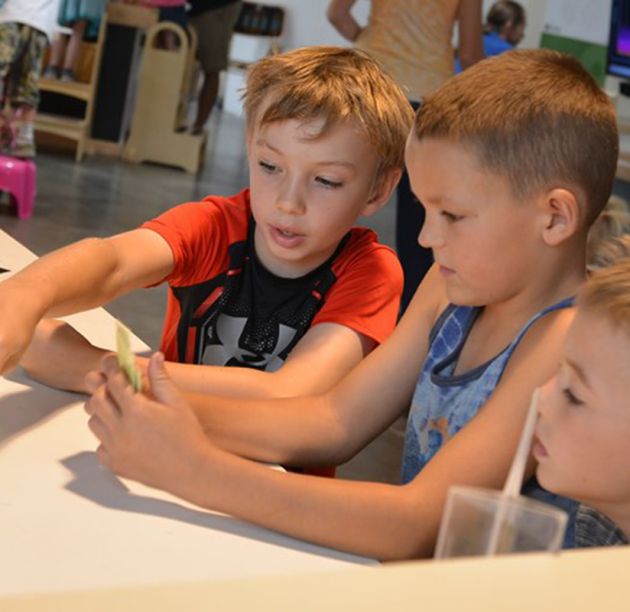 Children exploring a science activity during a science field trips