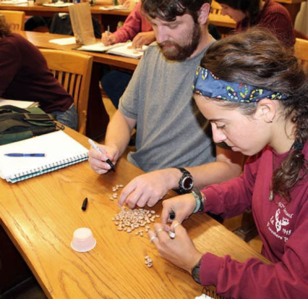 Students use dried beans to learn about population estimation