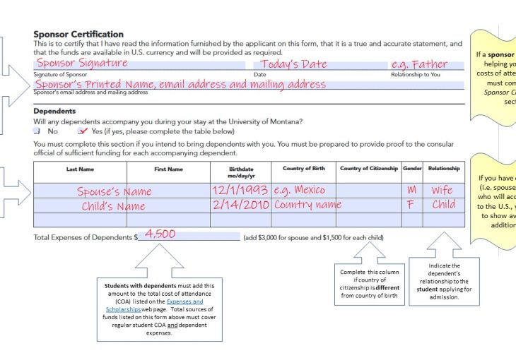Explanatory text and example for the bottom portion of the Certificate of Financial Responsibility