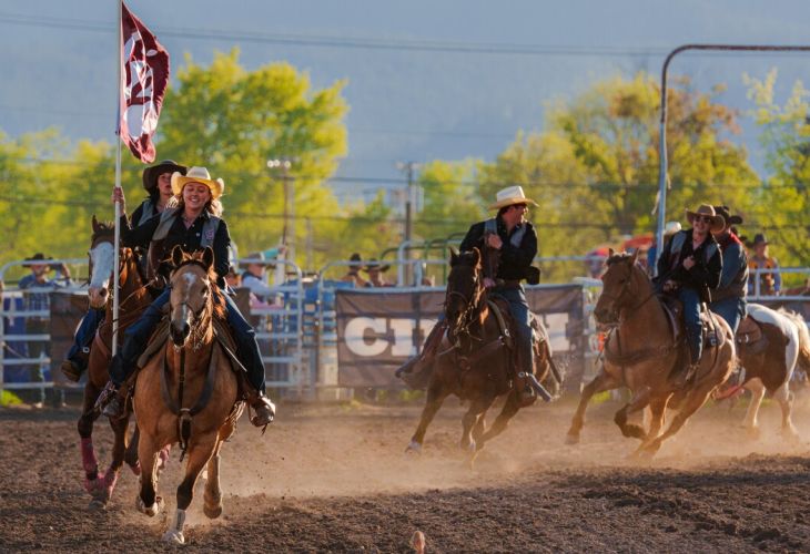 rodeo