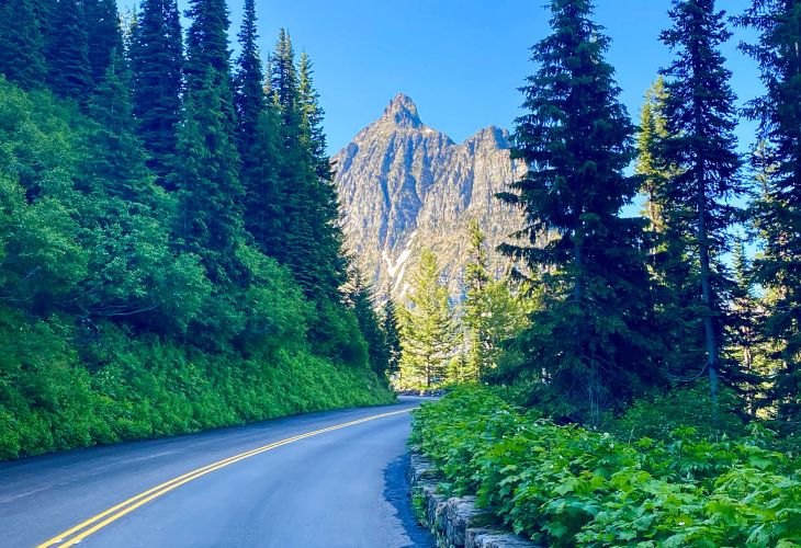 curving road with evergreen trees on each side facing a mountain view