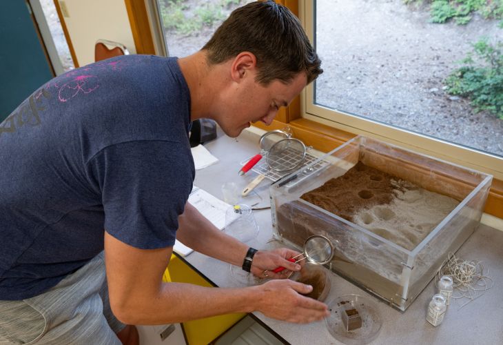 Student exploring a bug terrarium with a magnifying glass in hand