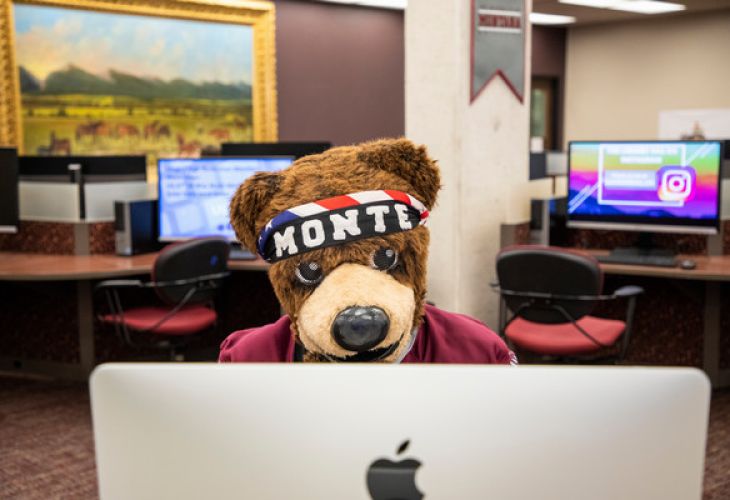 monte in the library at a computer