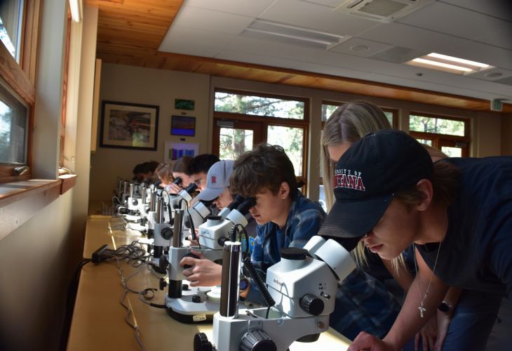 Students peer into microscopes 