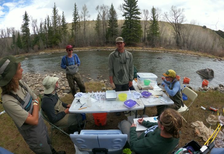 Blue River
