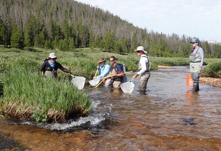 Backpack electrofishing