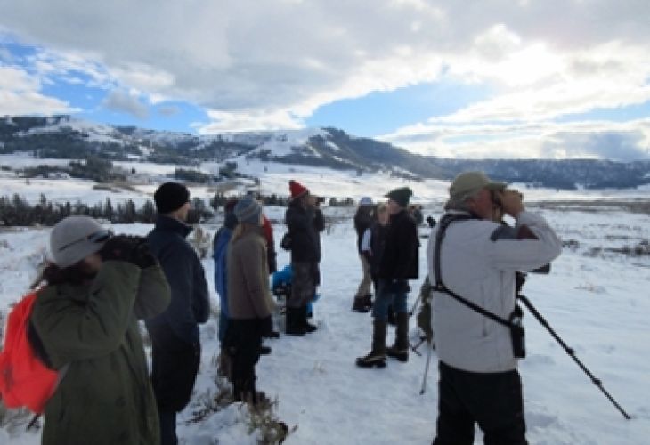 A group of people observing wildlife in a snowy landscape, with mountains in the background and a partly cloudy sky.