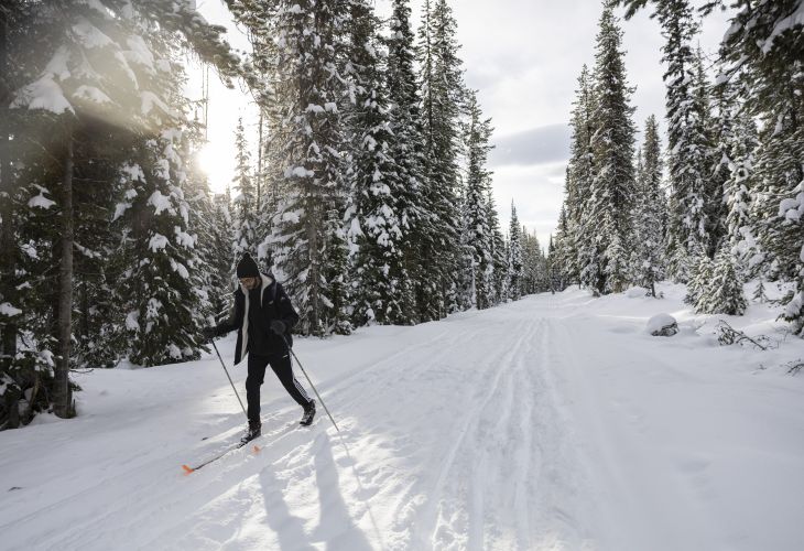A man cross-country skiing down a snowy trail lined by snow-covered trees
