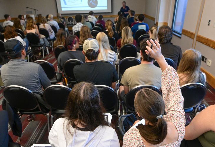 People raising hands at a presentation 