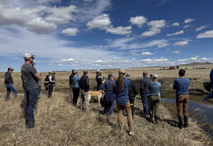 BWG members look at a stream in an arid agricultural field.