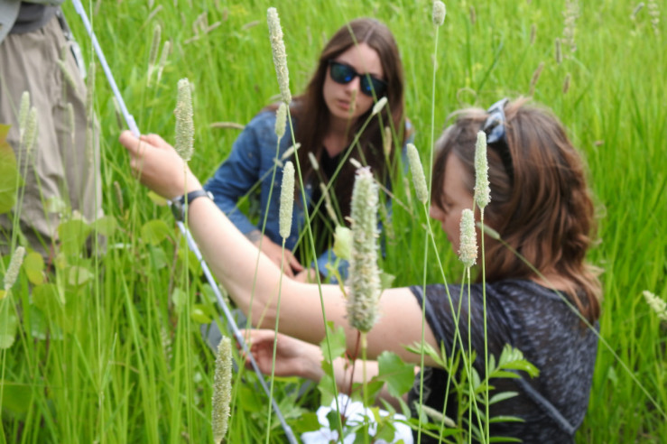 Bird technicians learn to measure vegetation