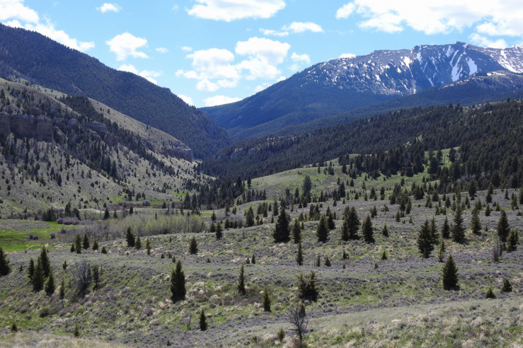 Sagebrush habitat at Robb Ledford Wildlife Management Area