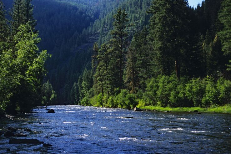 Fisherman on Rock Creek