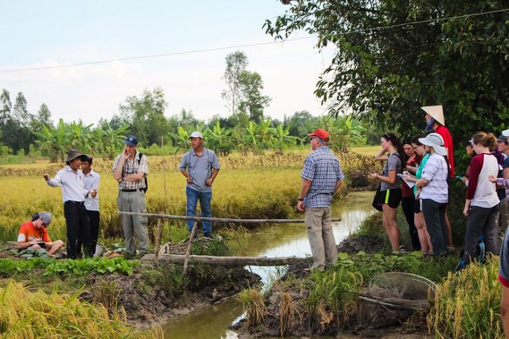 Students in a rice field