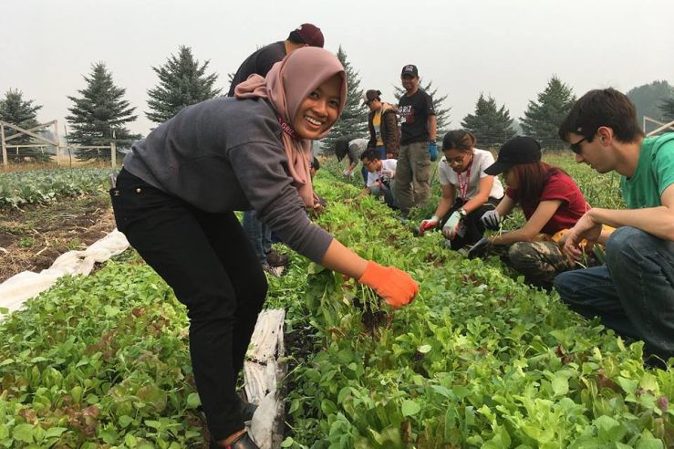 students gardening