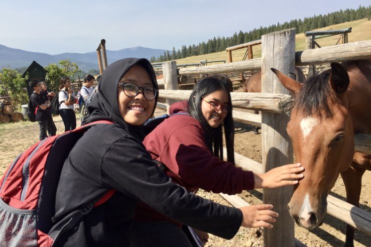 students with a horse