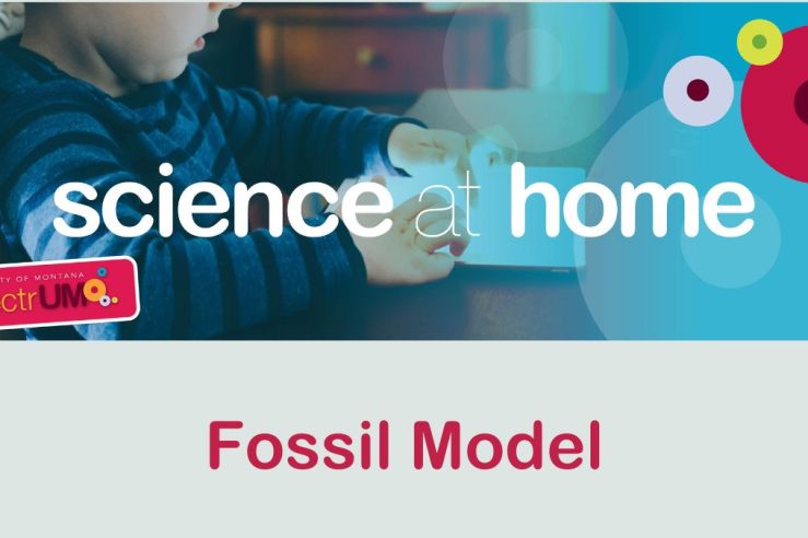 Create A Fossil Model
