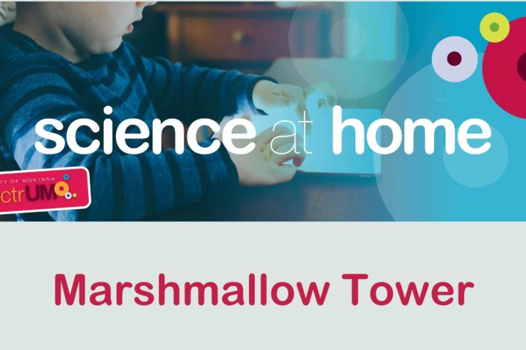 Marshmallow Tower Challenge