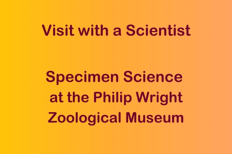 Specimen Science with the Philip Wright Zoological Museum