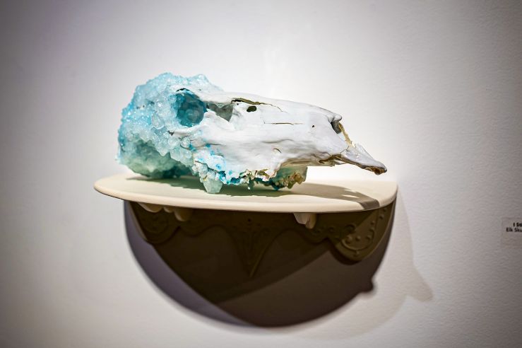 Close-up shot of what can only be described as a crystal skull. It looks like an animal skull had crystals growing on it.