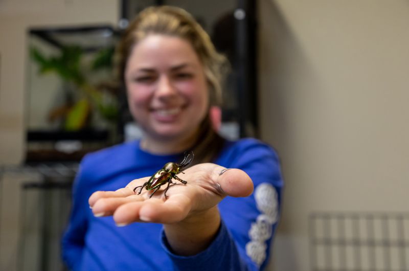 EE Grad Student holding a rhino beetle. 