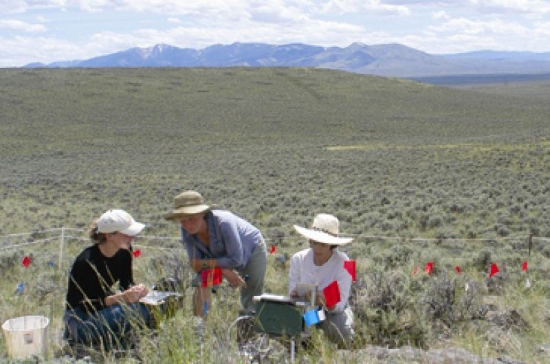 Three researchers conducting fieldwork
