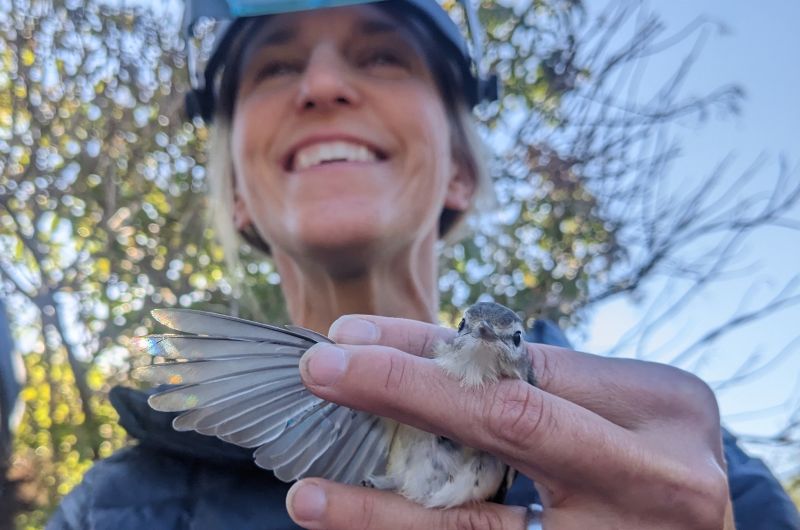 A biologist examines the wing of a songbird while smiling and wearing a pair of optical enhancers.
