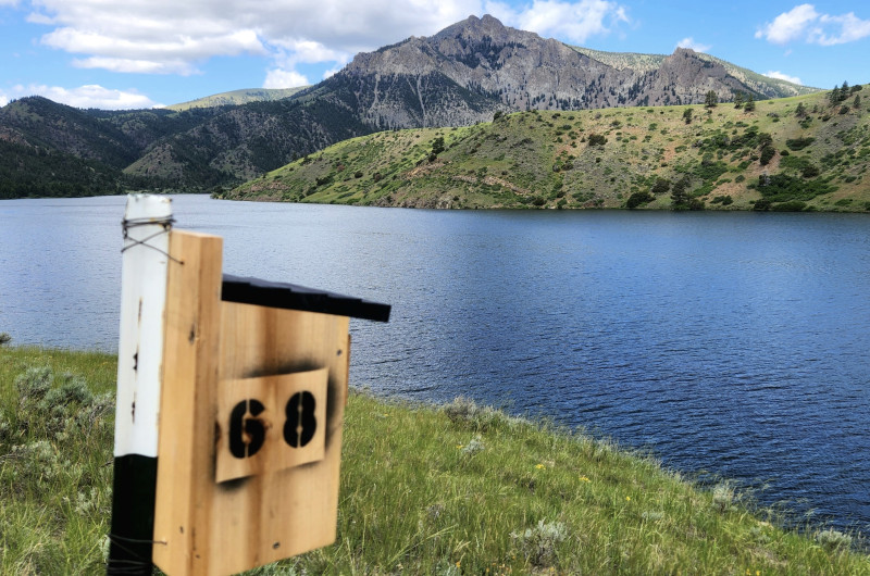 A Tree Swallow nest box is mounted on the edge of a river with the Sleeping Giant mountain in the background. 
