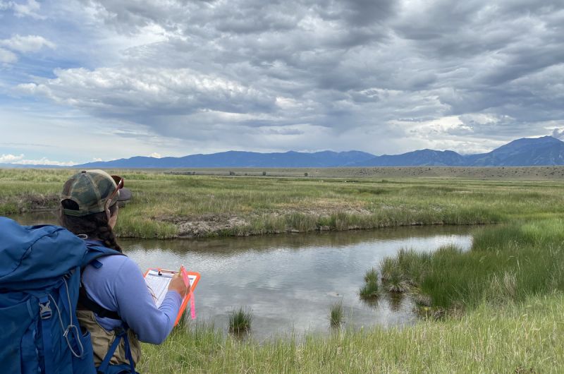 A biologist listens for birds and records data on a clipboard in front of a pond.