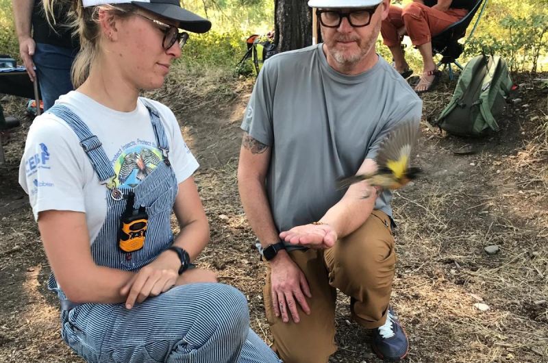 An UMBEL biologist helps a visitor release a Black-headed Grosbeak.