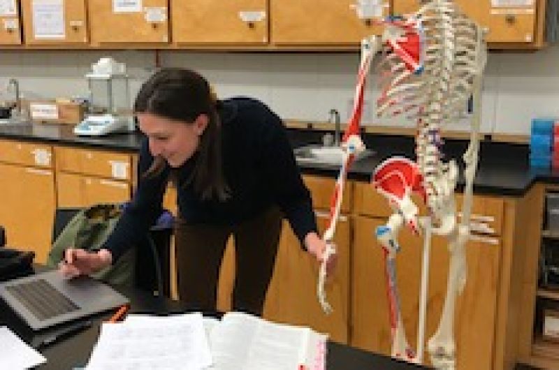 anatomy