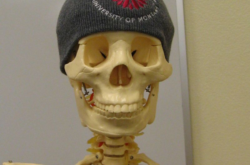 mr. bones