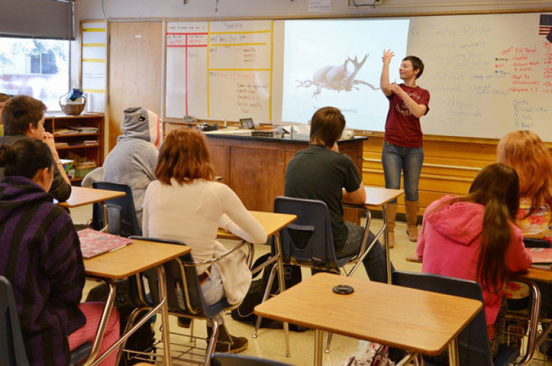 Wildlife biology role model presents on beetles in a high school classroom.