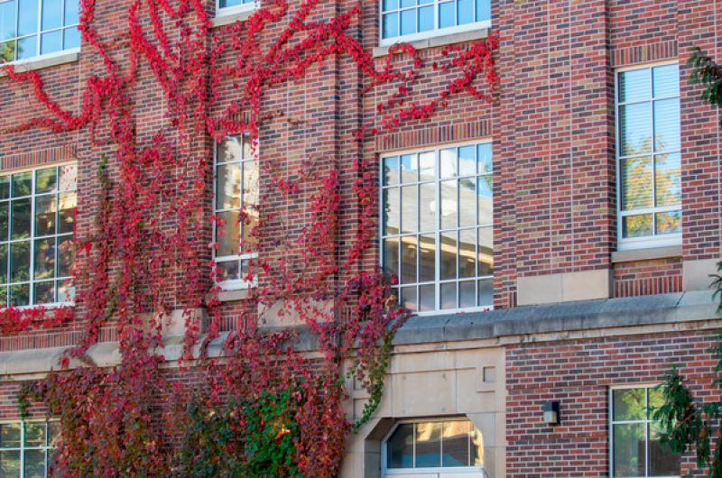 Skaggs Building on UM Campus