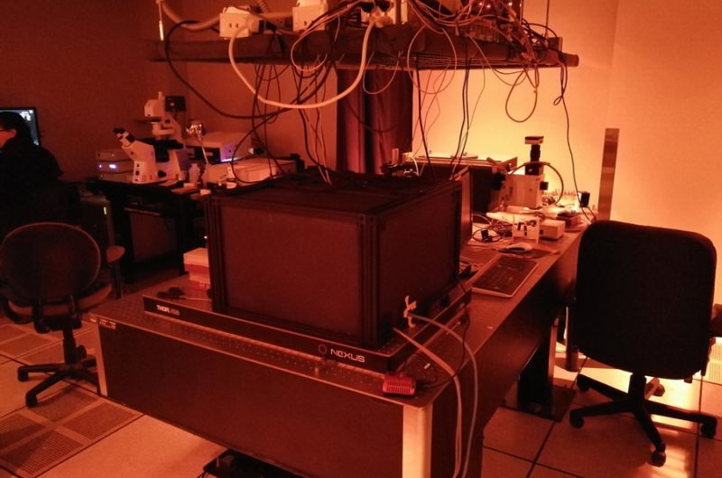 Qpod & FLASC 1000 equipment for dynamic anistorpy measurement