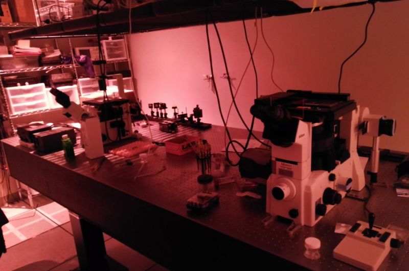 TIRF microscope based on Nikon TE & Home build confocal microscope based on Olympus IX83