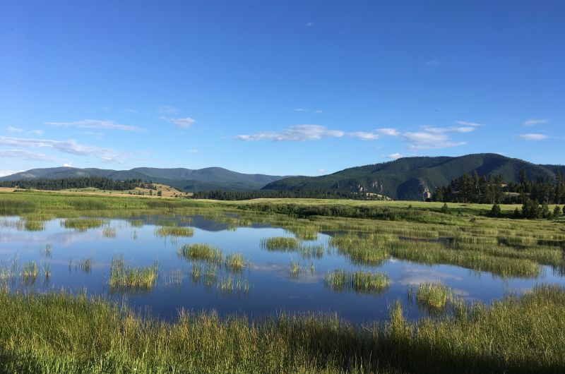 A green meadow with a marshy center. There are mountains in the background under a bright blue sky.