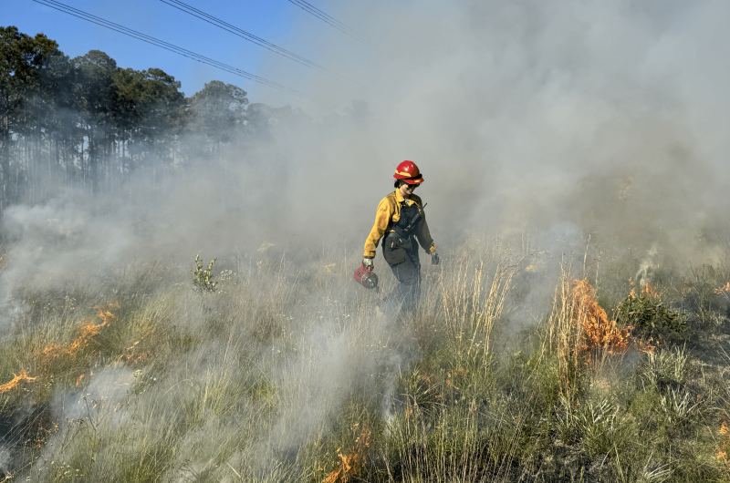 Prescribed Fire