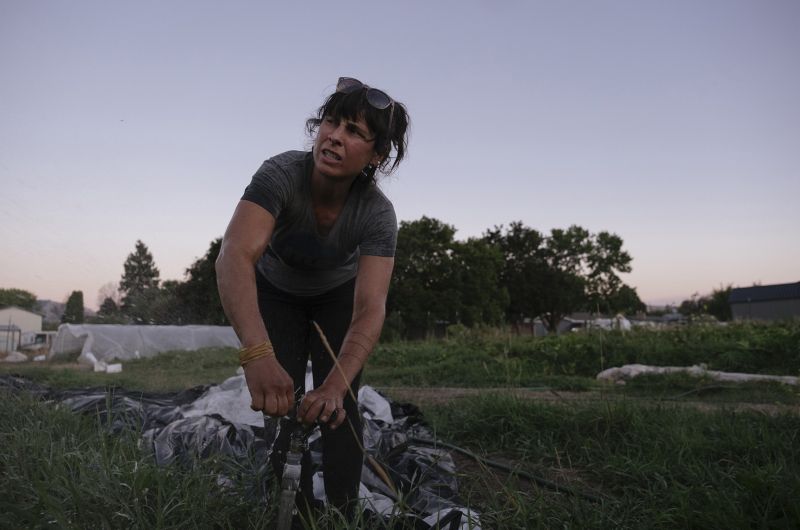 Woman bends down to adjust irrigation in field.