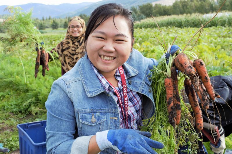 Two women harvesting carrots in a field, one smiling and holding a bunch of carrots, while the other holds up more in the background