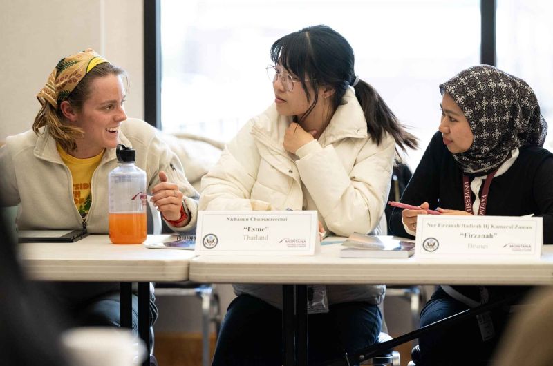 Three people engaged in discussion at a roundtable meeting, with nameplates identifying their countries: Thailand, Brunei, and another participant