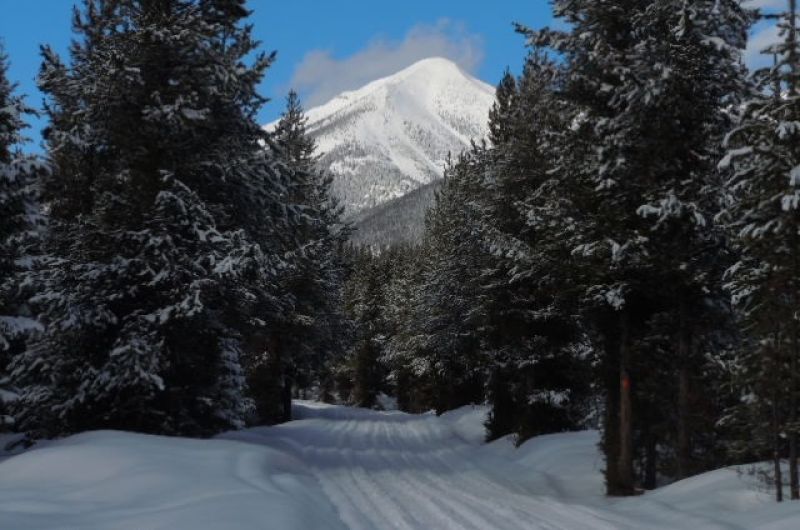 snowy road with a snowy mountain in the distance