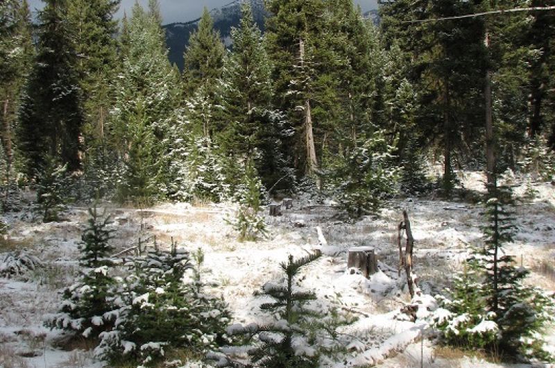 snowy mountain scene